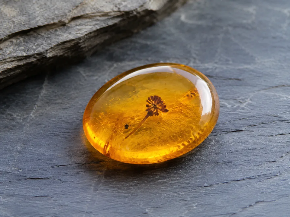 Amber specimen photograph on a neutral background.